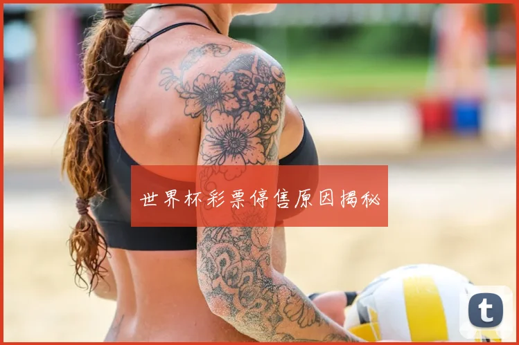世界杯彩票停售原因揭秘