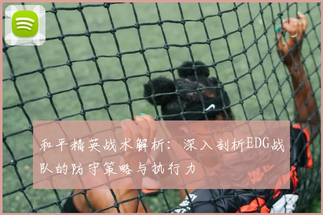 和平精英战术解析：深入剖析EDG战队的防守策略与执行力