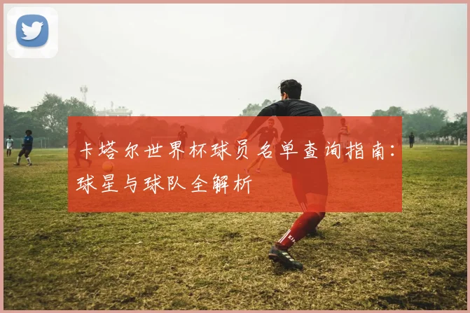 卡塔尔世界杯球员名单查询指南：球星与球队全解析