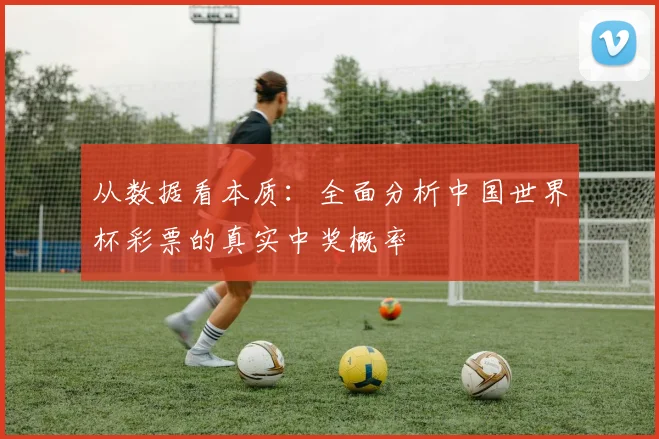 从数据看本质:全面分析中国世界杯彩票的真实中奖概率