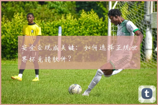 安全合规成关键：如何选择正规世界杯竞猜软件？
