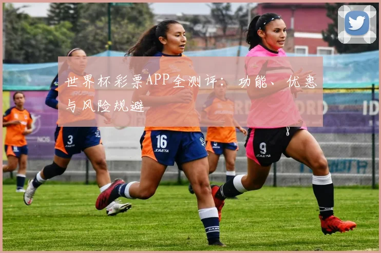 世界杯彩票APP全测评:功能、优惠与风险规避