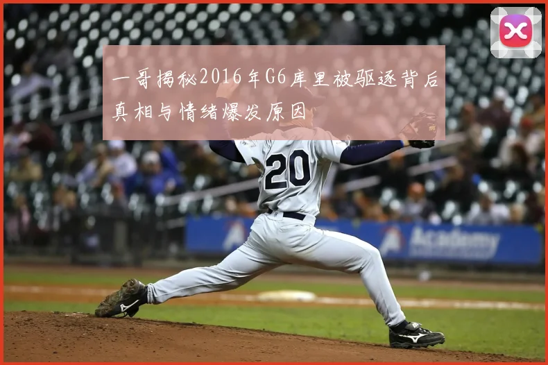 一哥揭秘2016年G6库里被驱逐背后真相与情绪爆发原因