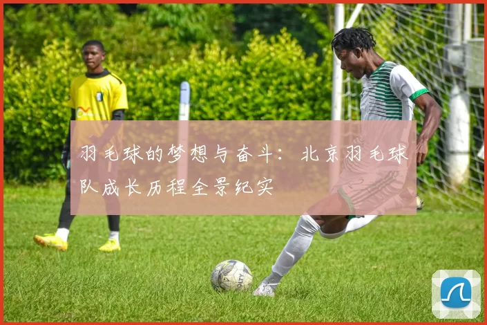 羽毛球的梦想与奋斗：北京羽毛球队成长历程全景纪实
