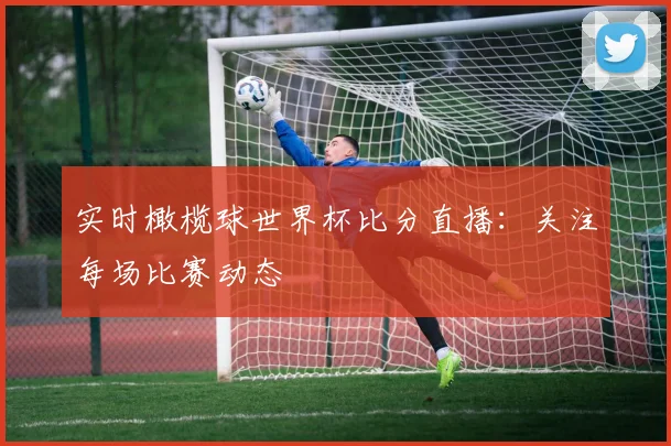 实时橄榄球世界杯比分直播：关注每场比赛动态