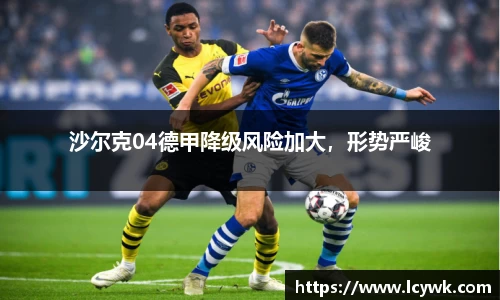 沙尔克04德甲降级风险加大，形势严峻