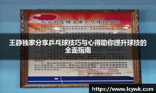 王静独家分享乒乓球技巧与心得助你提升球技的全面指南