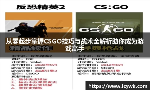 从零起步掌握CSGO技巧与战术全解析助你成为游戏高手