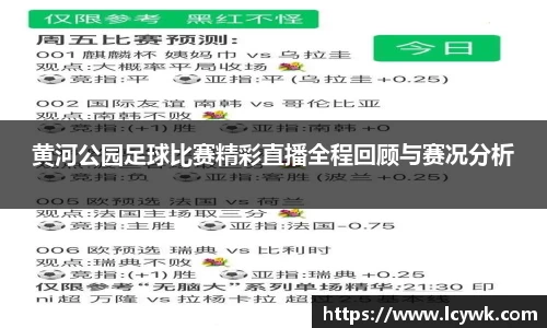 黄河公园足球比赛精彩直播全程回顾与赛况分析