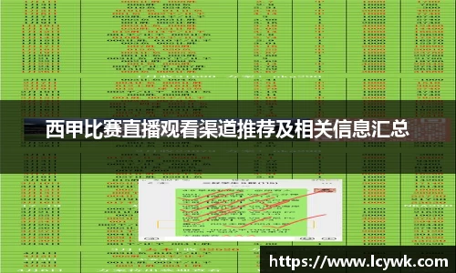 RAYBET雷竞技官网